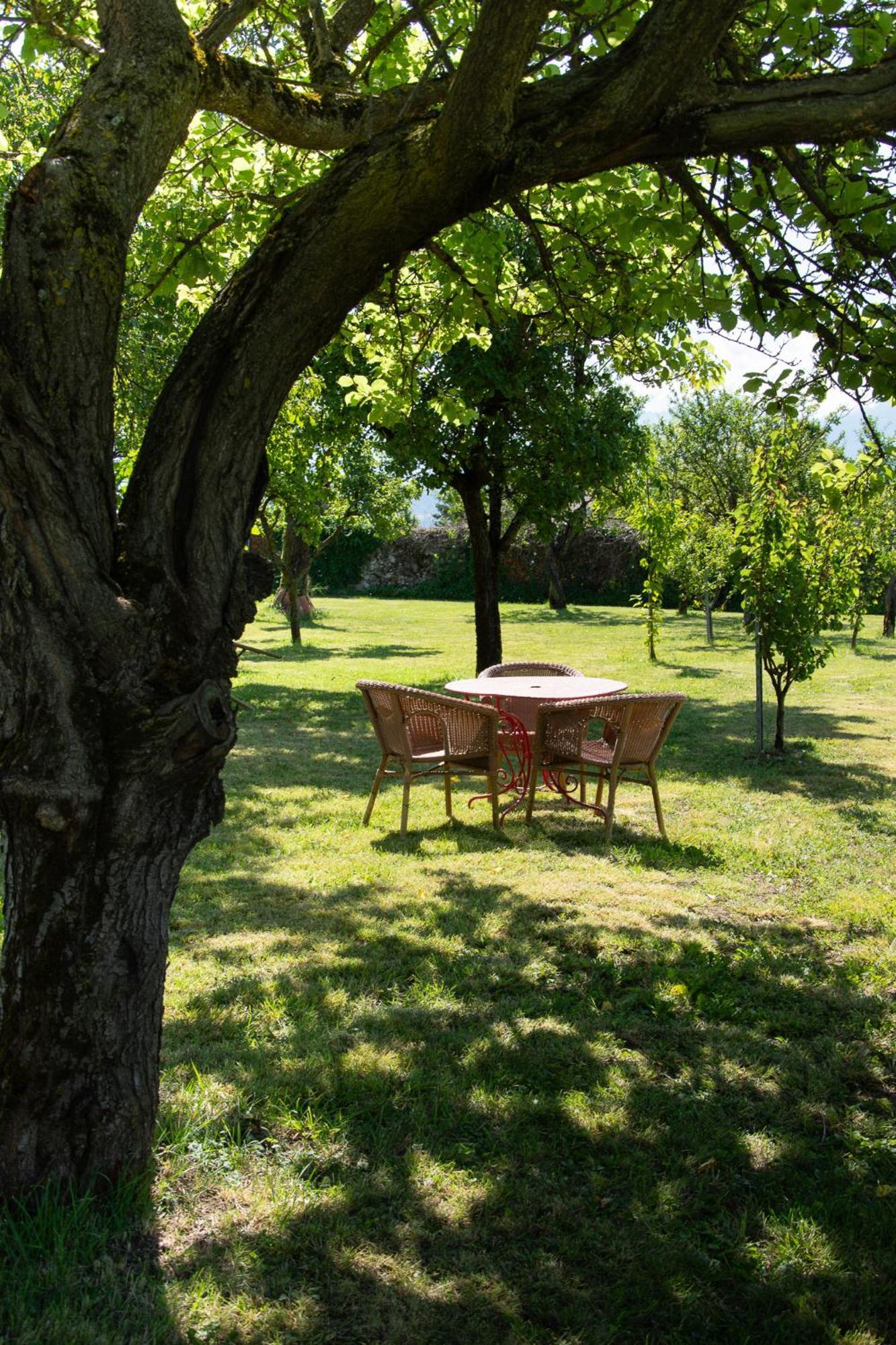 Domaine Des Granges Longes Apartment Les Marches Exterior photo